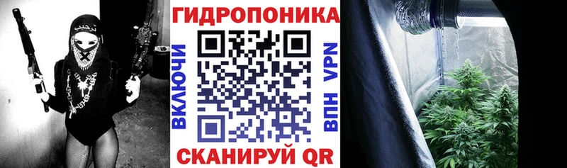 Канабис ГИДРОПОН Кондрово